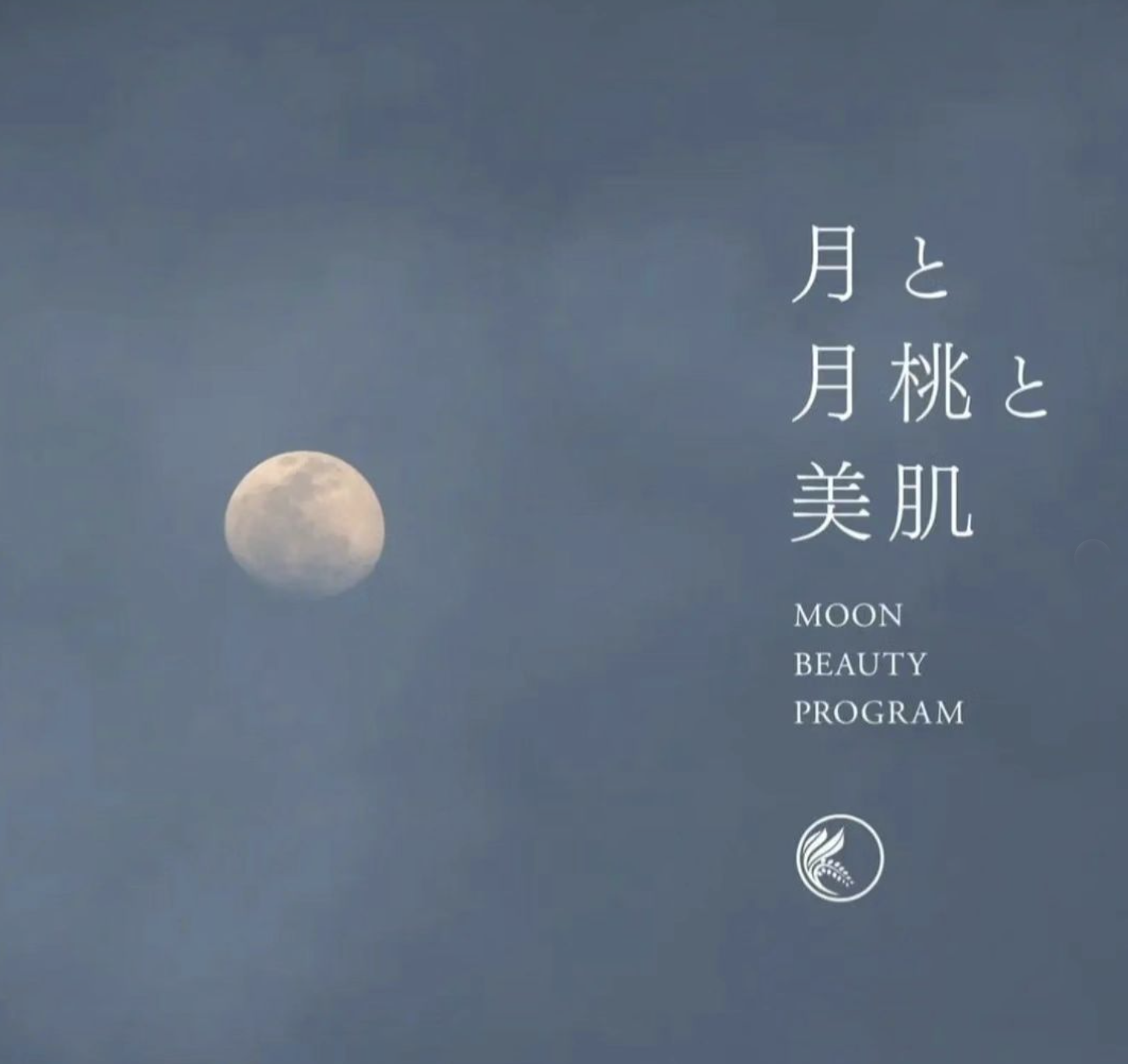 毎日のスキンケアを通してわたしの”内側”の変化を見つめる45日間🌙