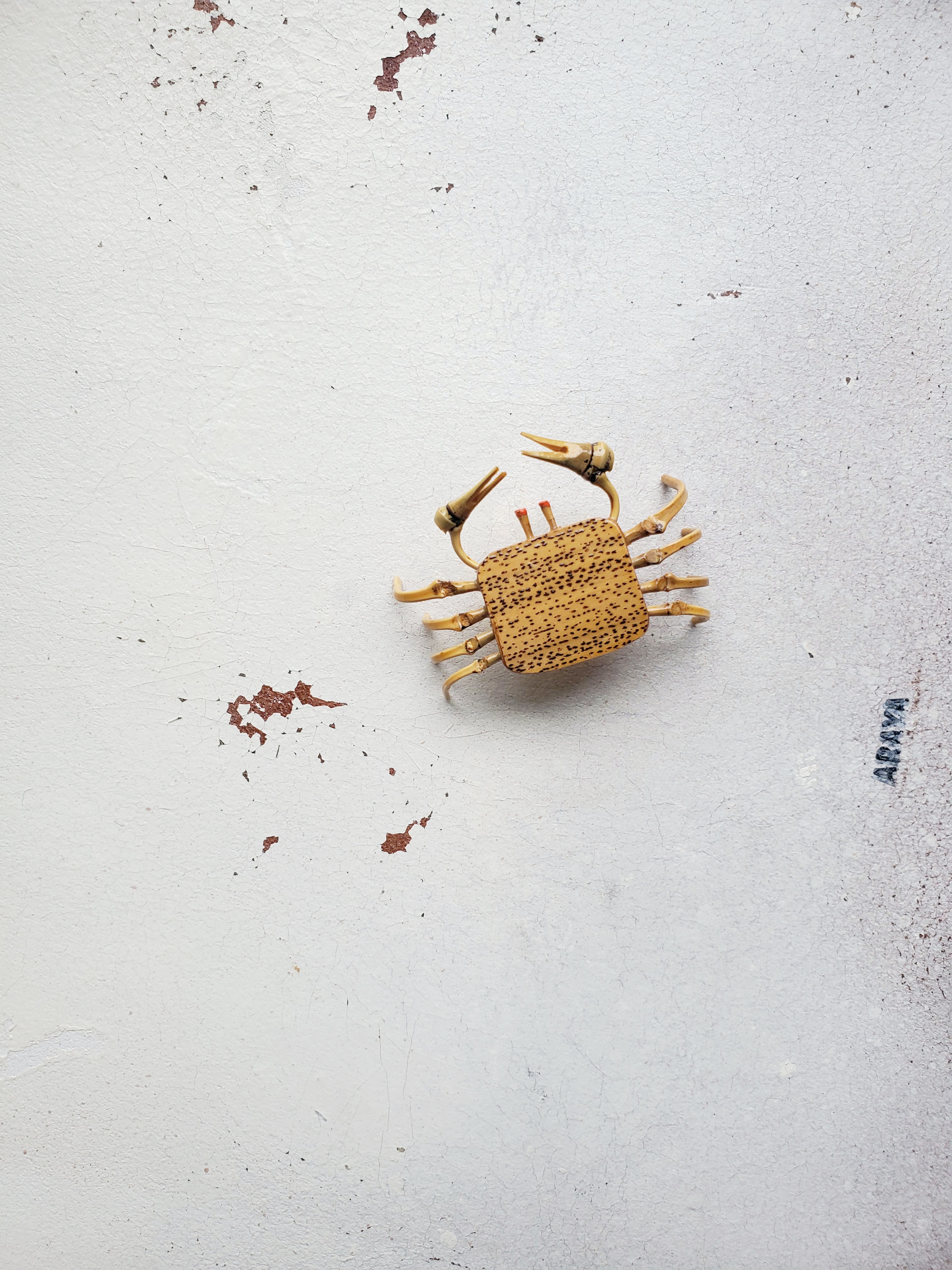 木星が蟹座に入りますよ＾＾